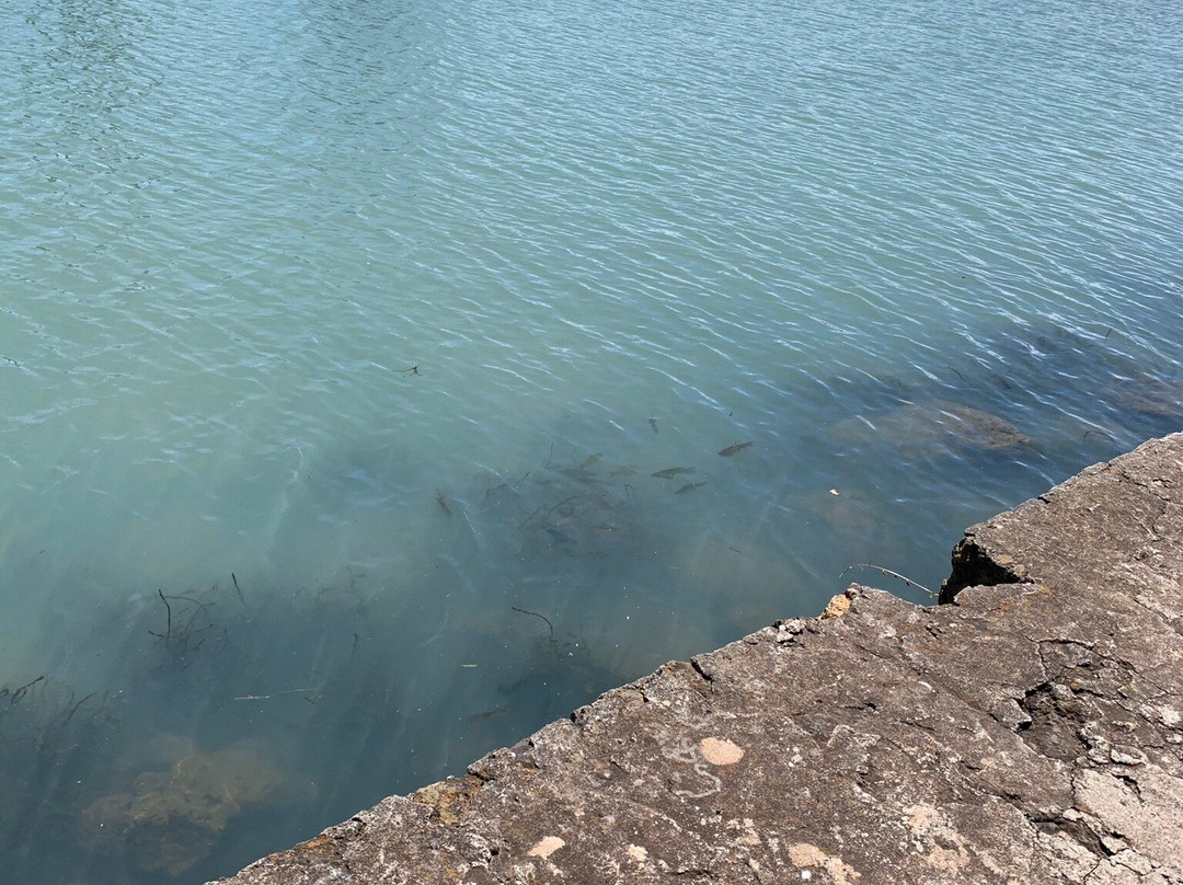 Laguna Chignahuapan-Chignahuapan必去景点