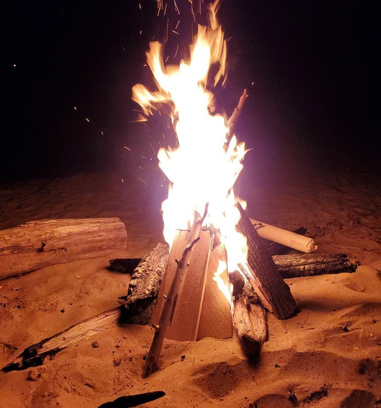 Scott's Superior Inn & Cabins主图