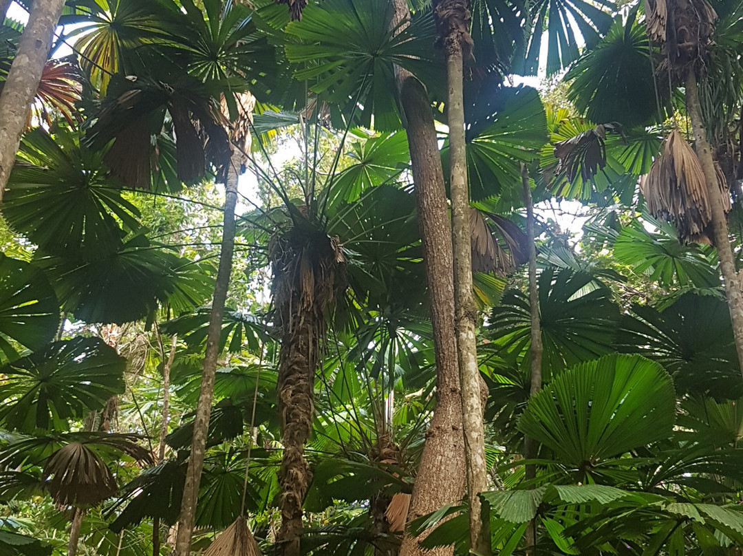 Jungle Tours And Trekking景点图片
