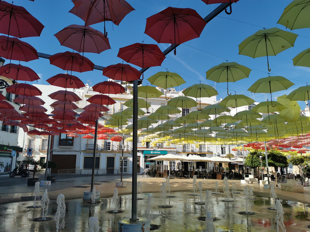 Plaza De La Constitucion景点图片