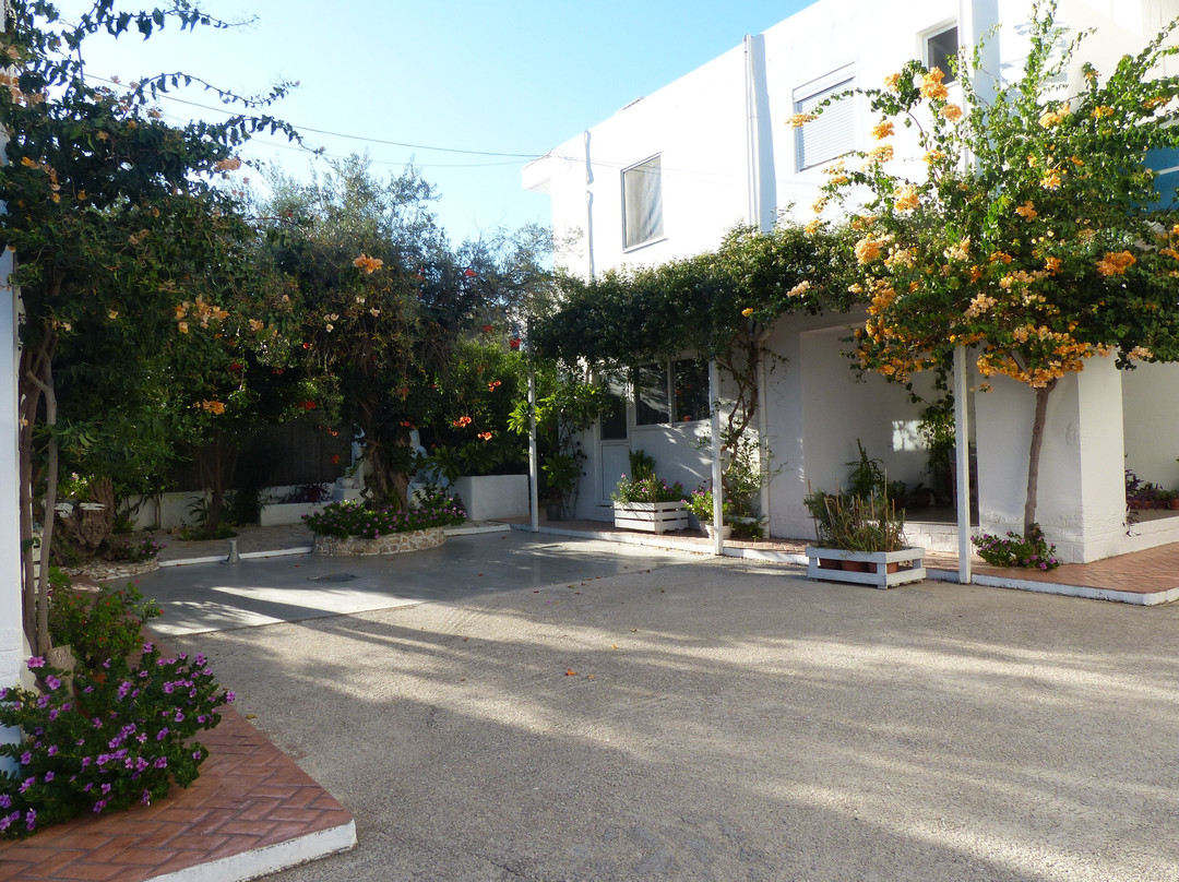 Blugreen Stegna主图