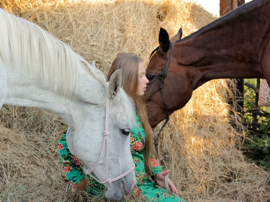 Cossack Horse Riding Club景点图片