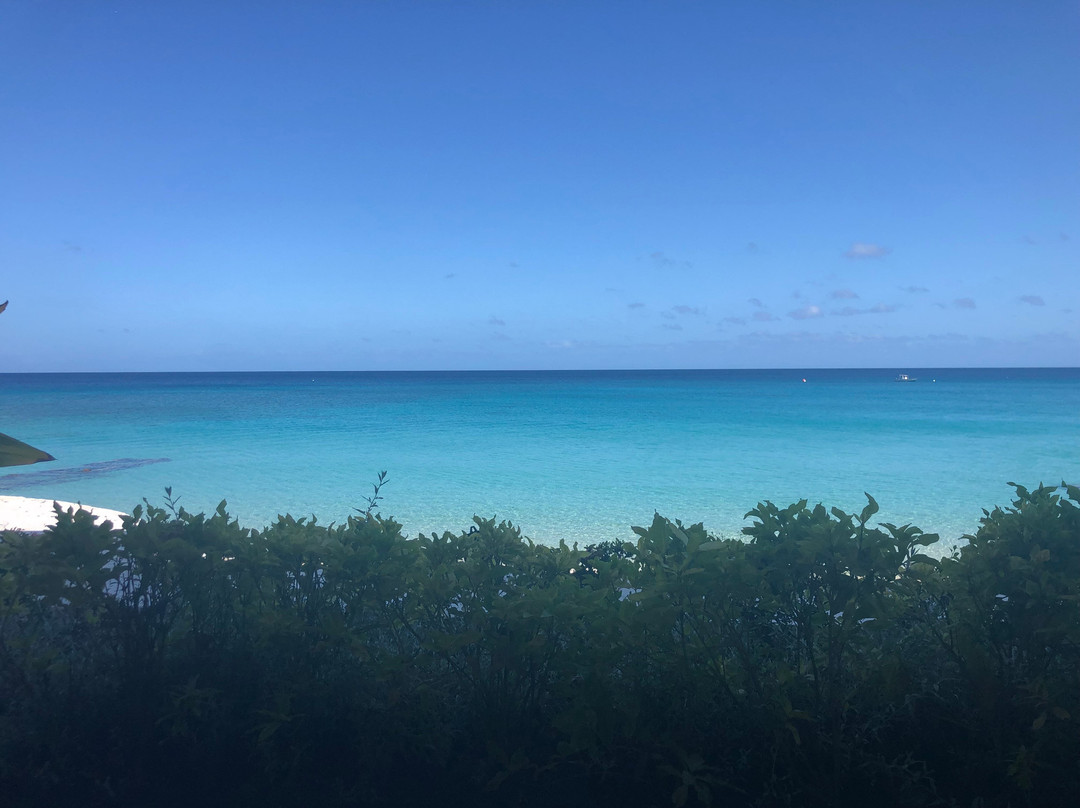 费尔蒙特皇家庭园酒店主图