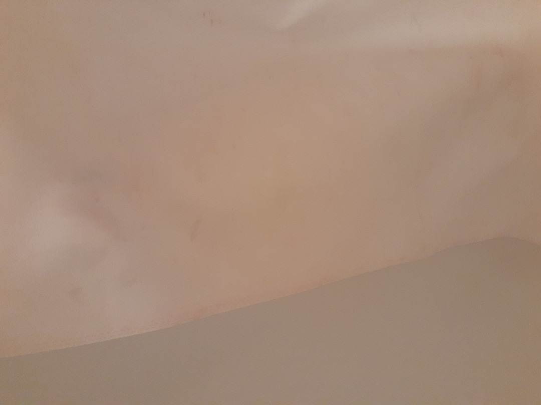 海伦希尔顿恒庭酒店主图