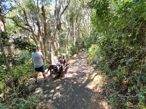 Ocean View Lookout Track-伯利角必去景点