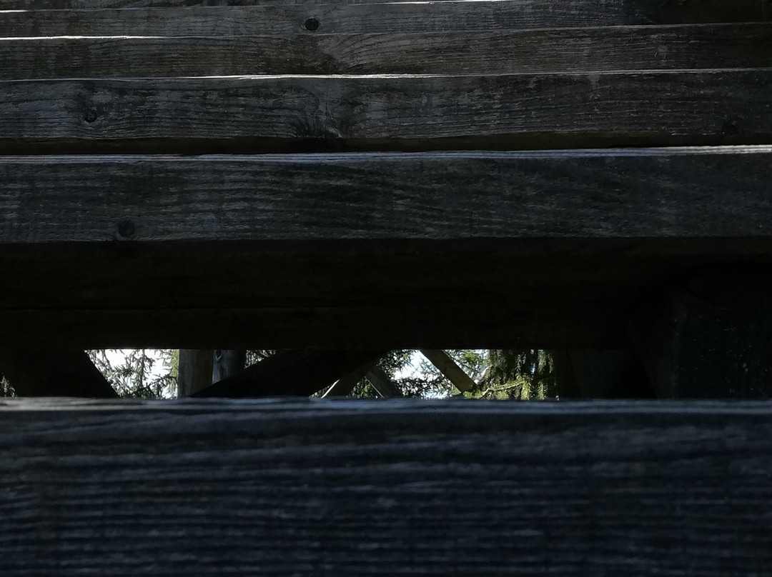 Wipfelwanderweg Rachau-Sankt Margarethen bei Knittelfeld必去景点
