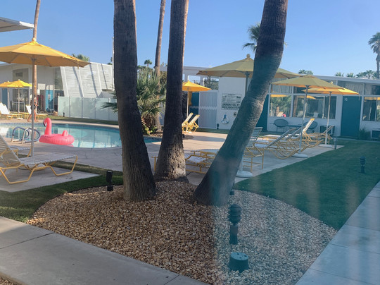 The Monkey Tree Hotel by AvantStay主图