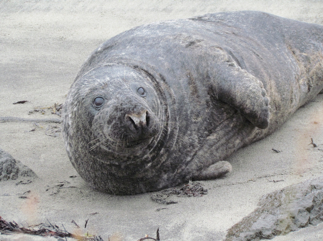 Illugastaðir Farm-Bifrost必去景点