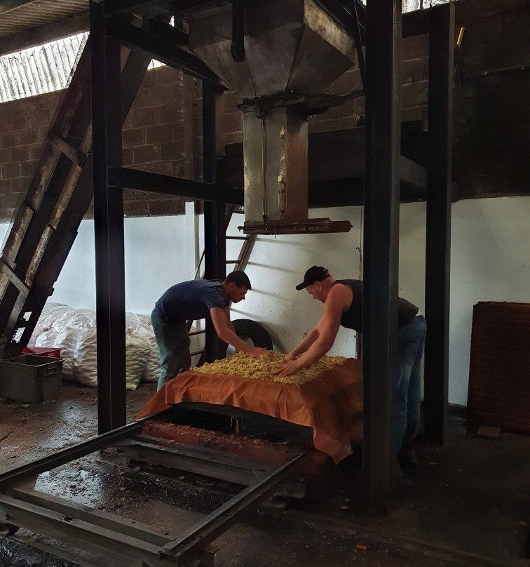 Wilkins Cider Farm景点图片