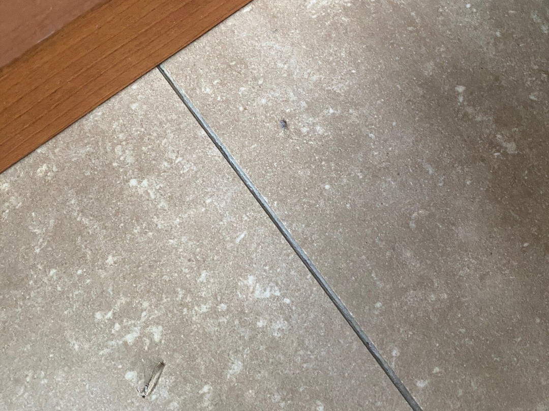 Residence Eurobeach主图