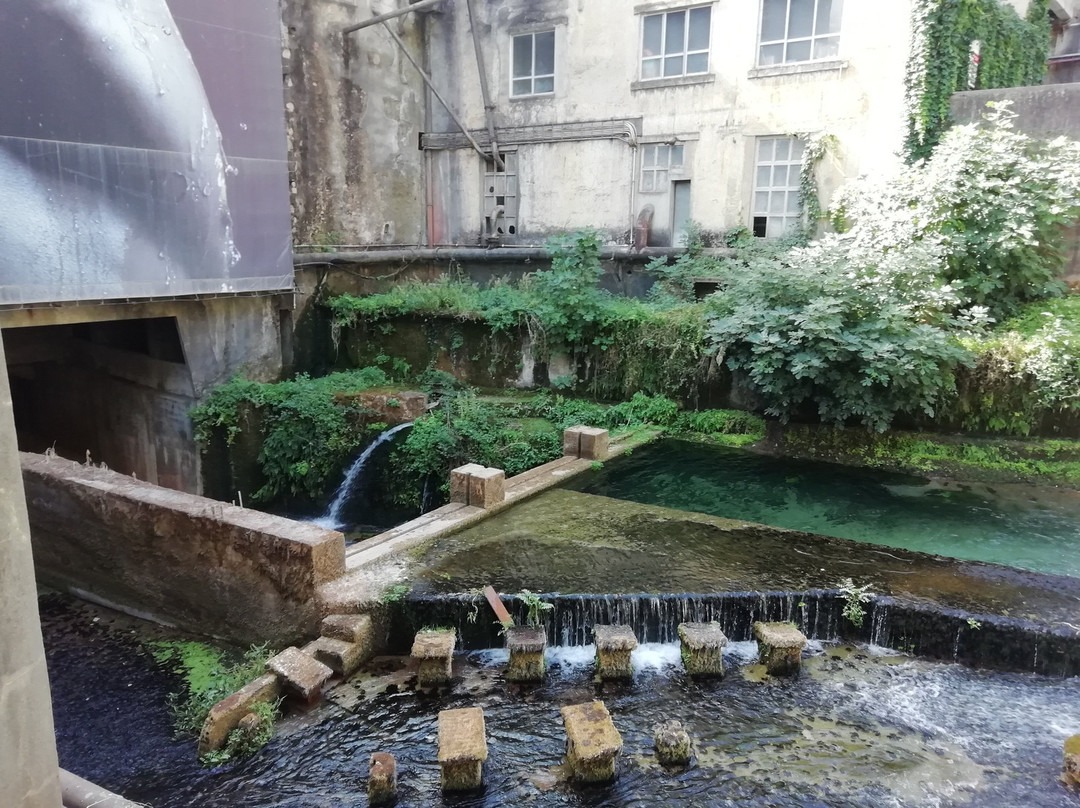 Nascente do Almonda景点图片