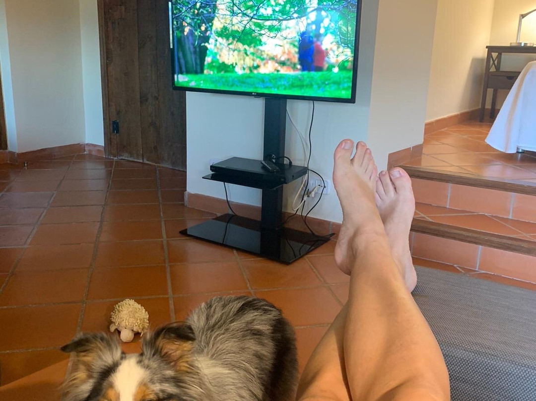 Boutique Hotel Cresol主图