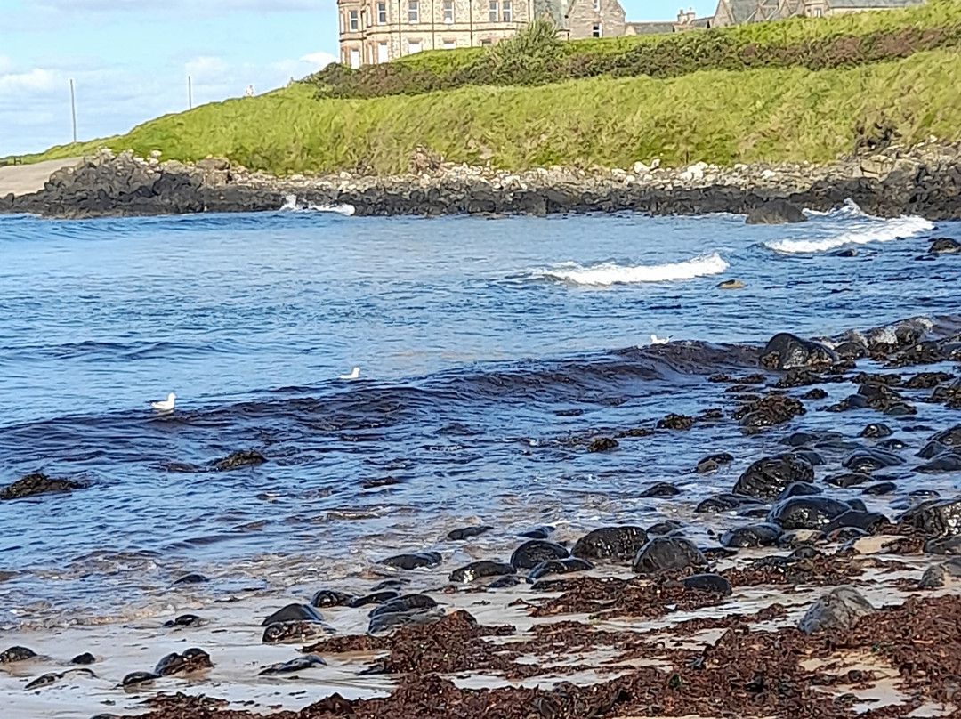 Bushfoot Strand-Portballintrae必去景点