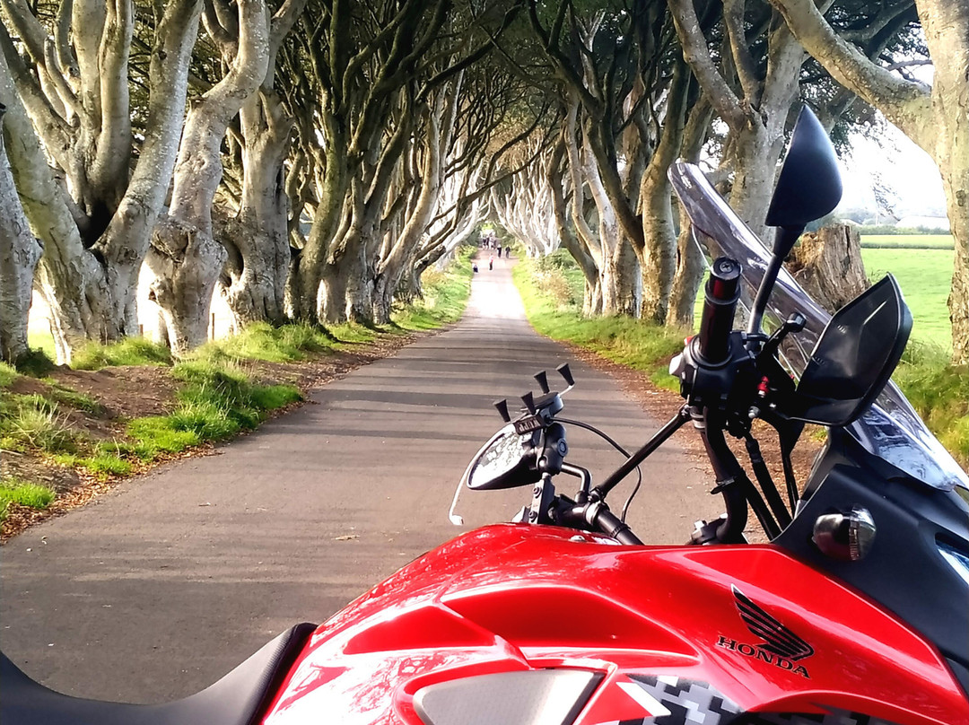 Flyride Ireland (formerly Belfast Motorcycle Rentals)景点图片