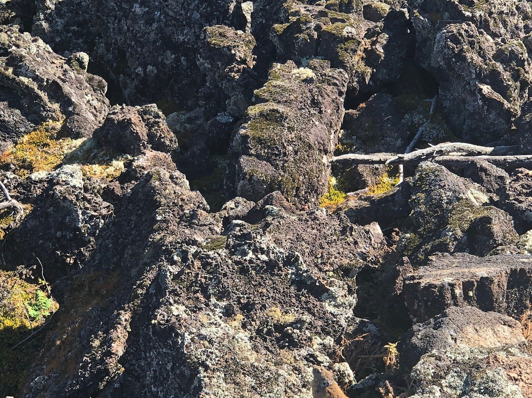 石塘林-阿尔山市必去景点