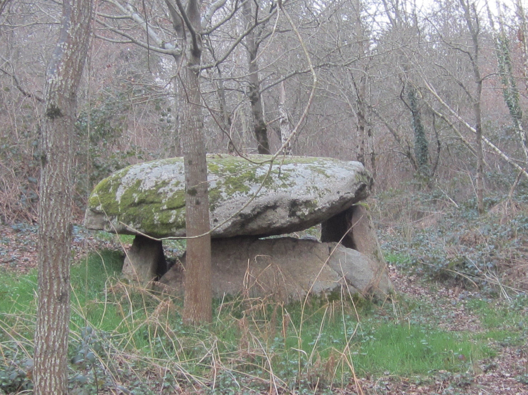 Dolmen De Chardy