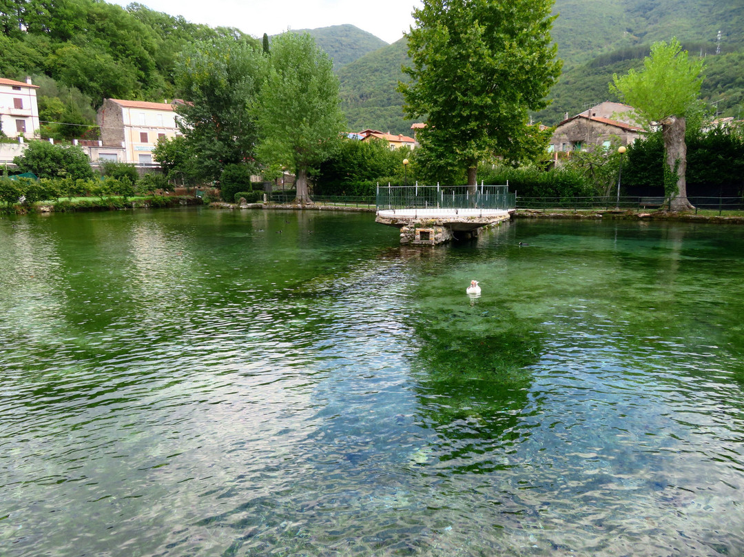 Lago dei Cigni景点图片