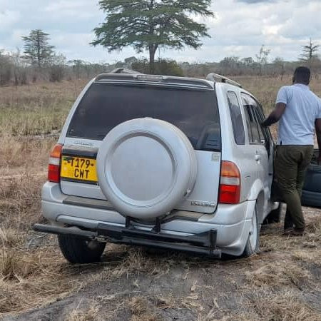 Saadani National Park旅游攻略图片