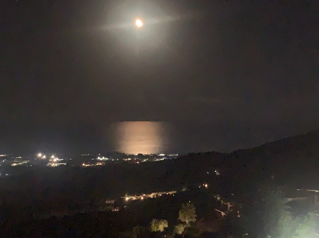 Villa Susanna degli Ulivi - Resort & Spa主图