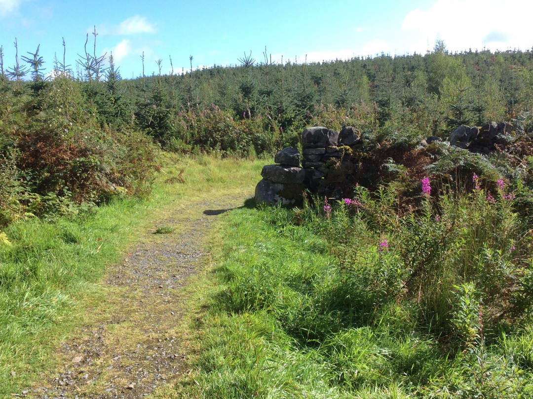 Galloway Forest Park-Galloway Forest Park必去景点