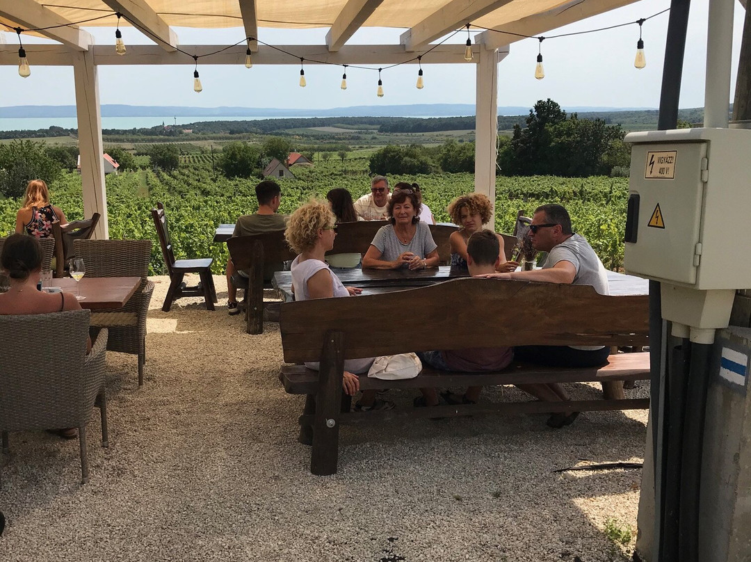 Tagyon旅游攻略图片