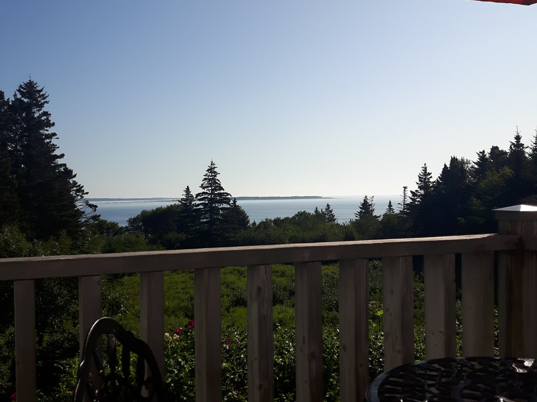 Gallery Guest House B & B主图