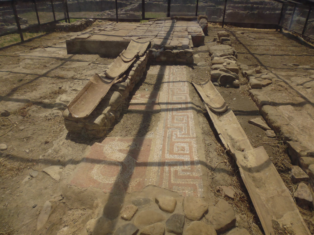 Area Archeologica di Siris - Heraclea景点图片