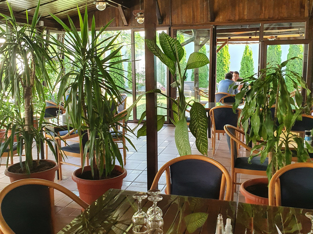 Restaurant Dunărea