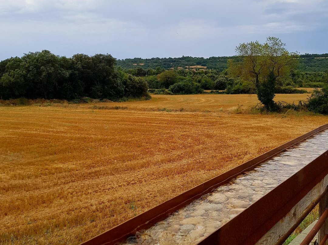 Hotel Villaro del Bosc主图