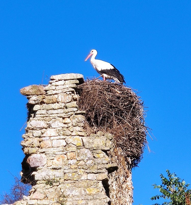 Château de la Rivière景点图片