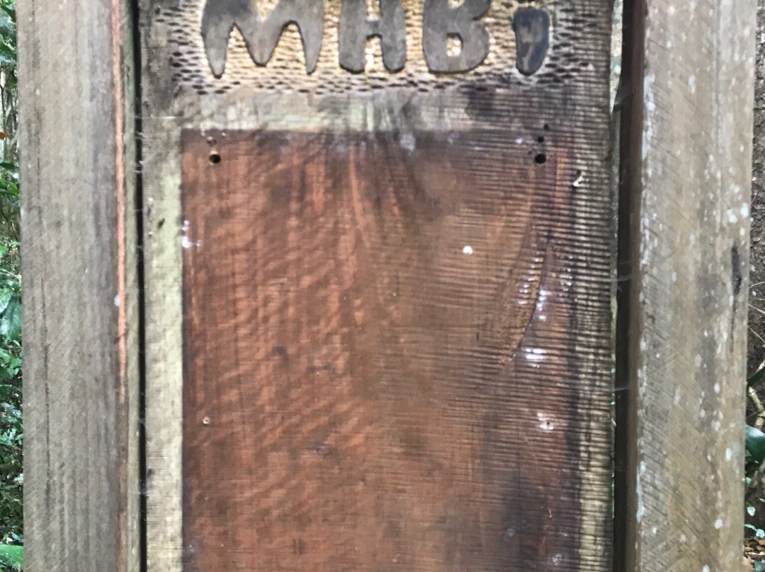 Wongabel State Forest- 阿瑟顿必去景点