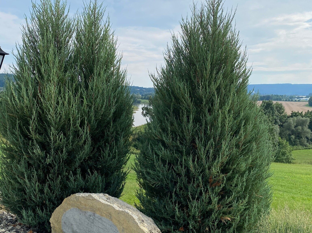 Landhotel Weserblick主图