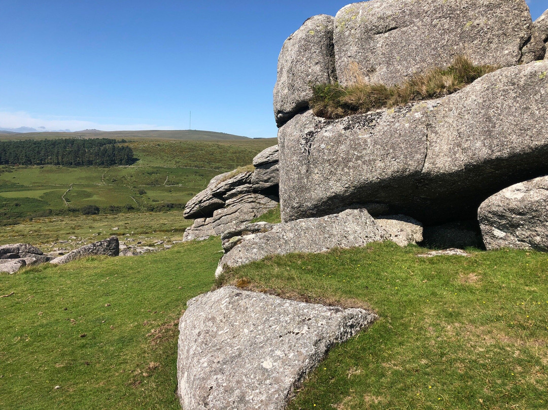 Heart of Dartmoor Guided Walks景点图片