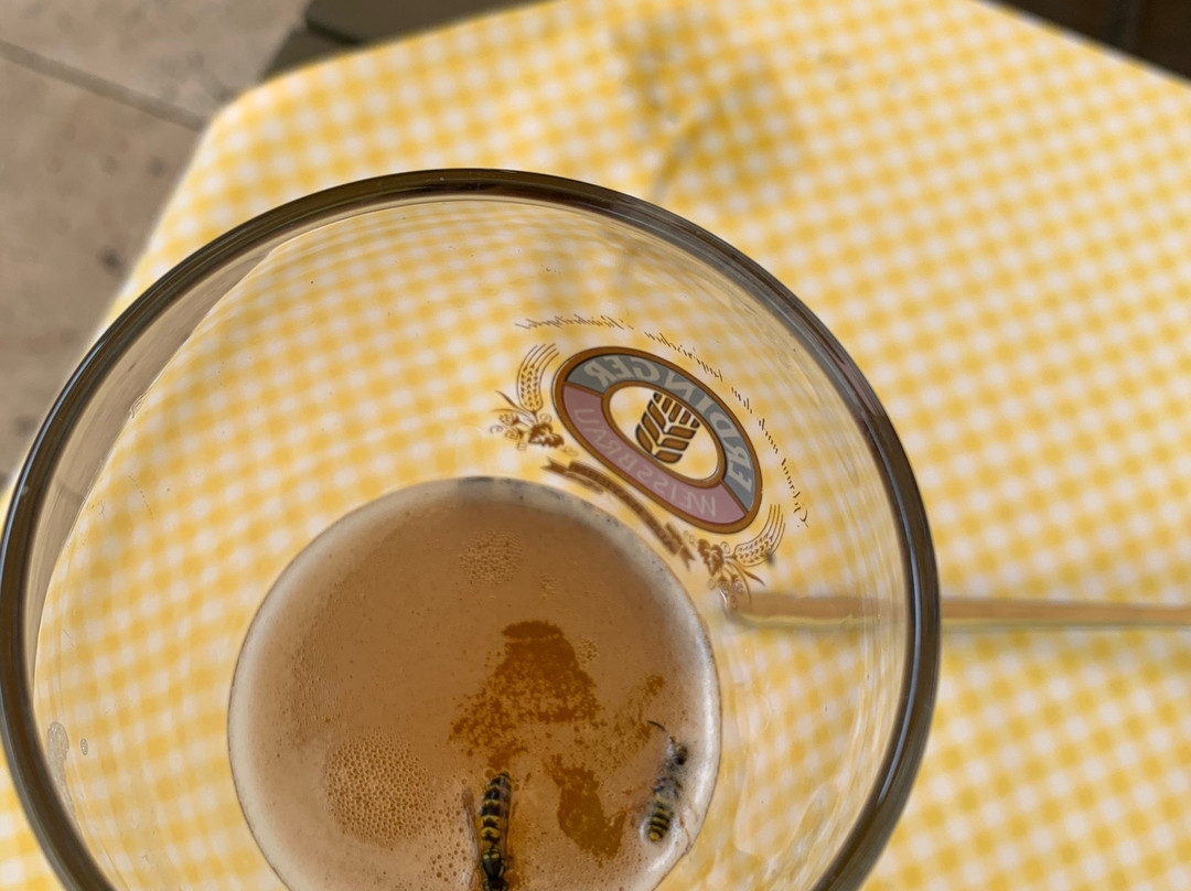 Alpeiner Nature Resort主图