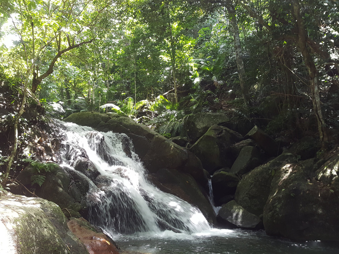 Ali's Waterfall-刁曼岛必去景点