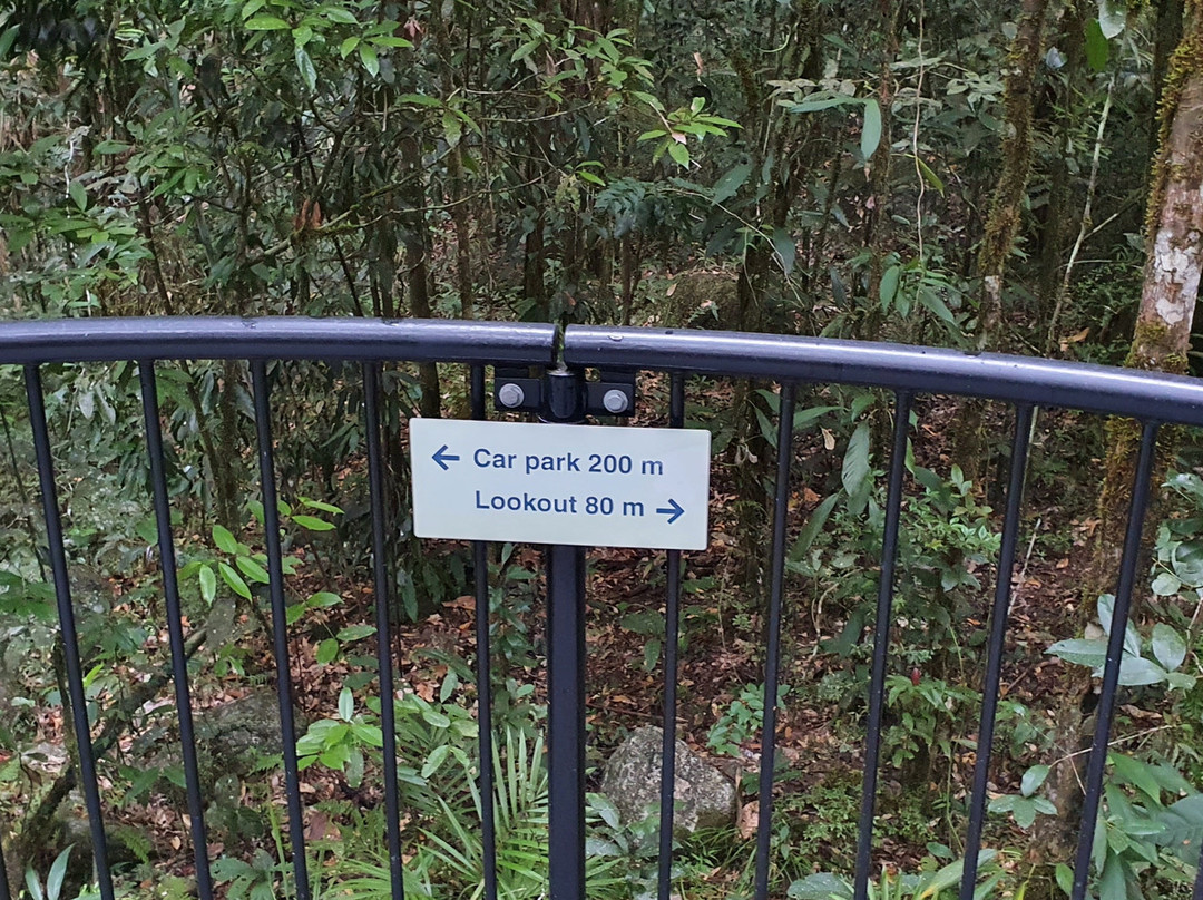 Mossman River Lookout-Mossman必去景点
