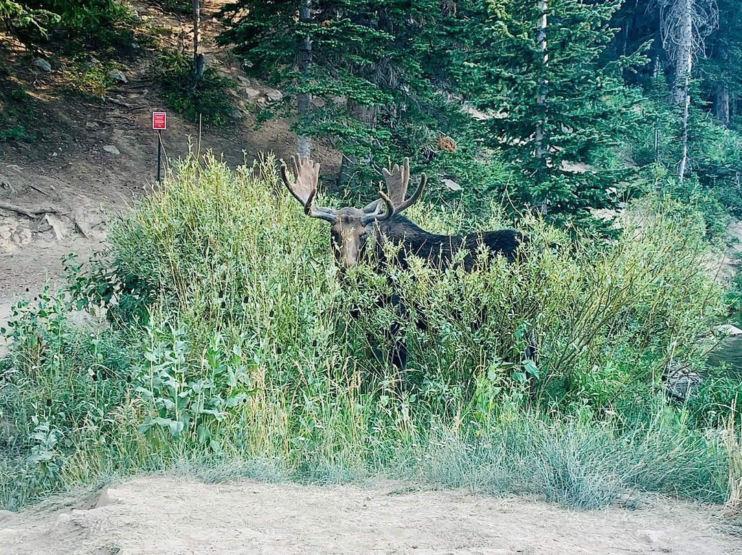 Guardsman Pass Scenic Backway-帕克城必去景点