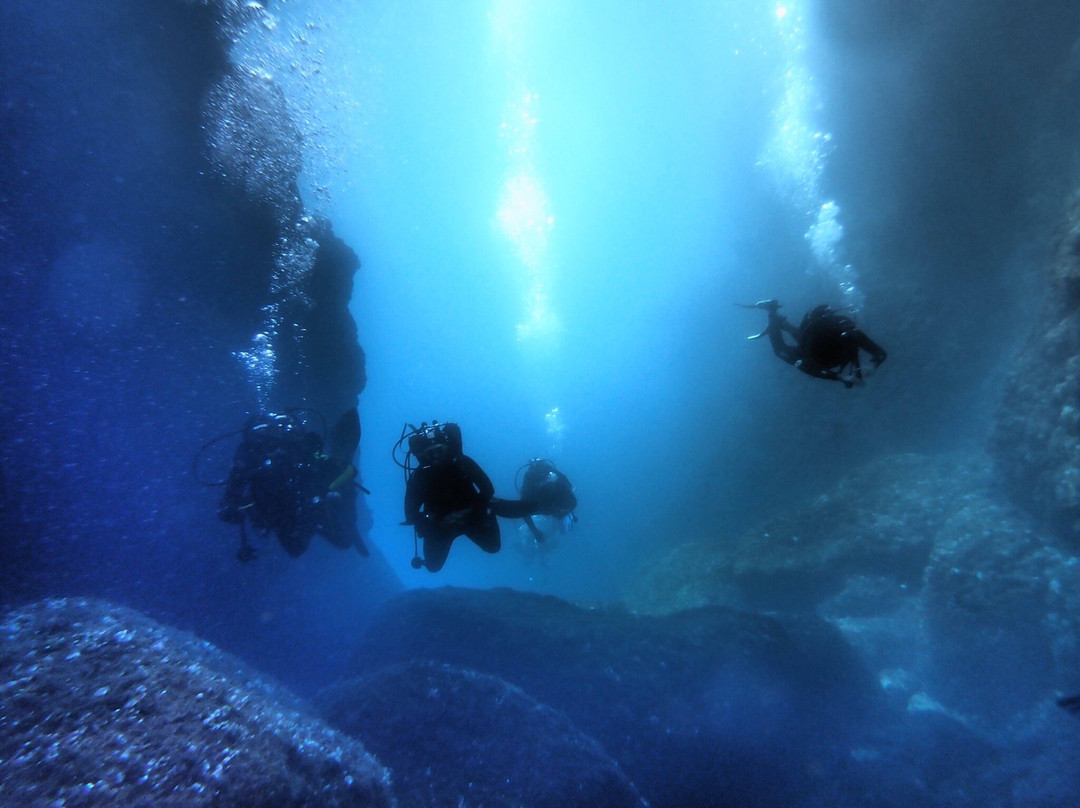 Abyss Diving & Water Sports Center景点图片