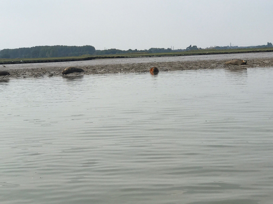 Iken Canoe-Aldeburgh必去景点