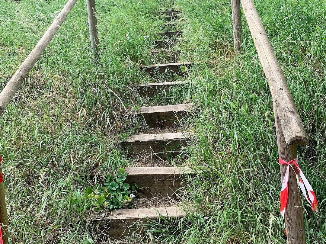 Riviere Souterraine de Champdeniers-Champdeniers-Saint-Denis必去景点