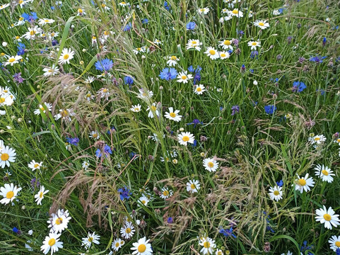 Alpaki Roztocze-Zaburze必去景点