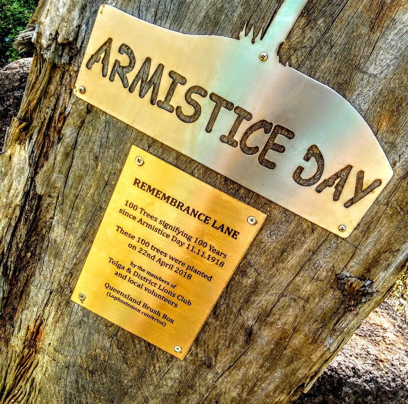 CWA Park-Tolga必去景点