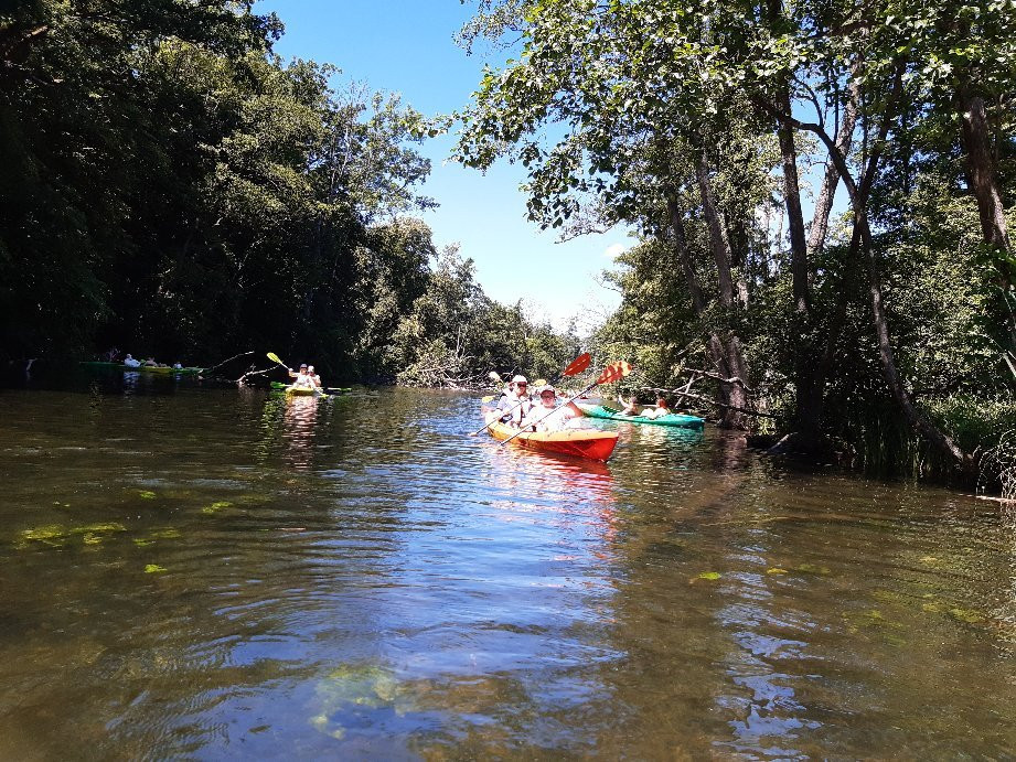 Nadolny Kayak Rental & Tours景点图片