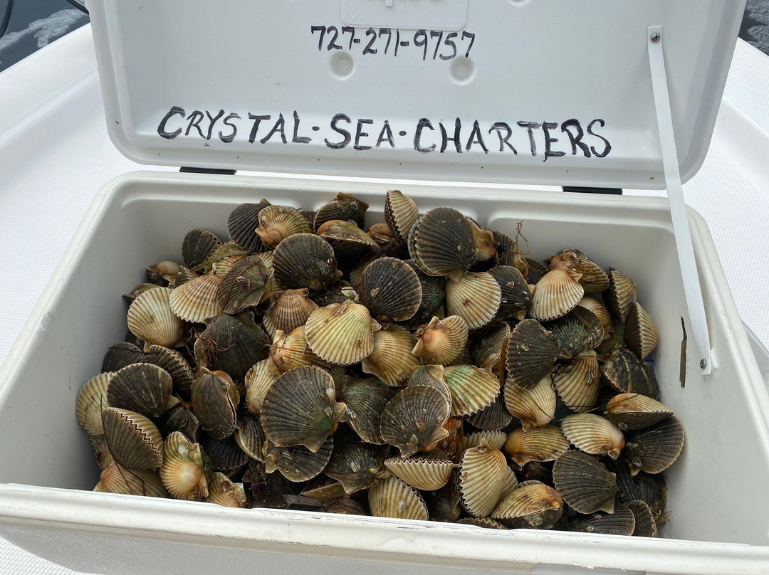 Crystal Sea Charters景点图片