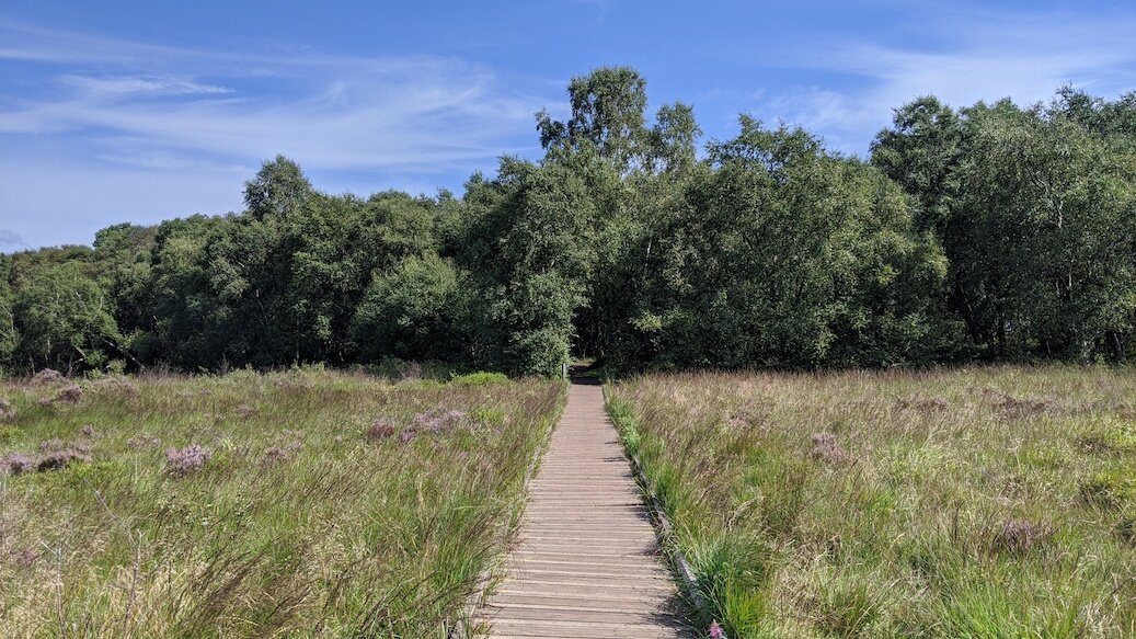 Lenzie Moss-Lenzie必去景点