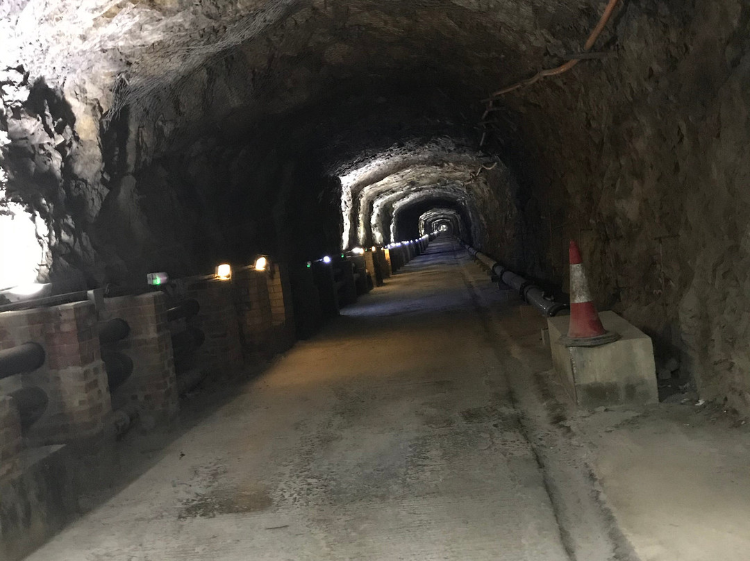 Barbary Rock Adventures-直布罗陀必去景点