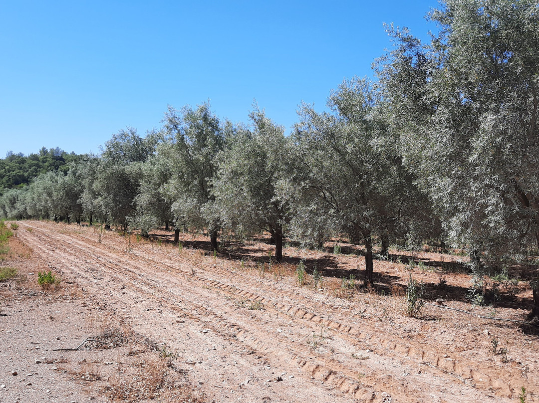 Domaine du Jasson-La Londe Les Maures必去景点