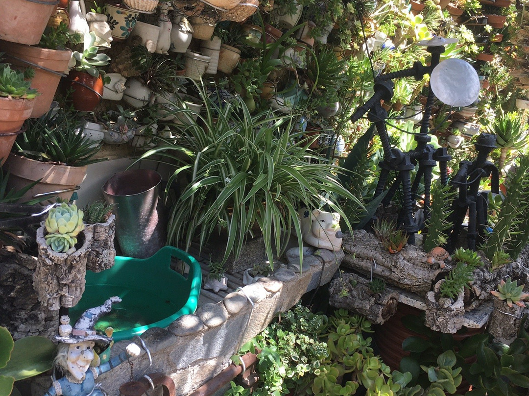 La Casa de los Cactus-Hervas必去景点