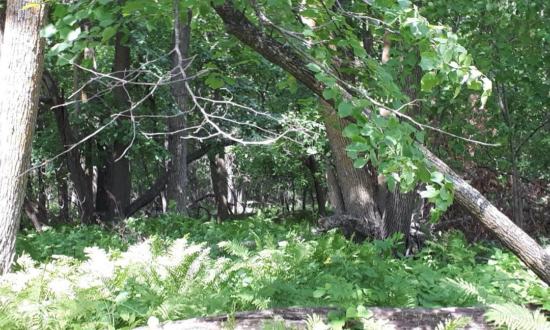 Beaudry Provincial Park-Headingley必去景点