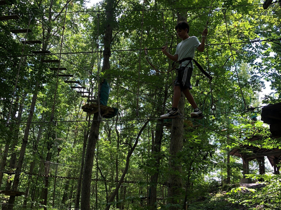 Treetop Quest Gwinnett-比福德必去景点